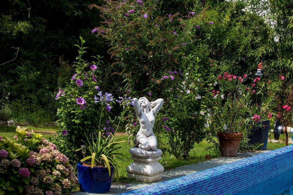 Villa Sonnenschein Hévíz 客房 照片